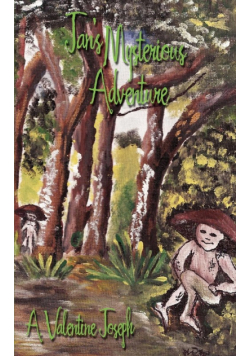 Jan's Mysterious Adventure