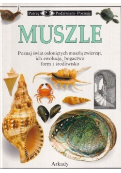 Muszle