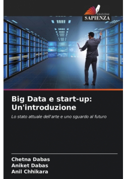 Big Data e start-up