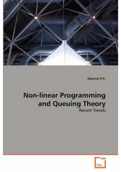 Non-linear Programming and Queuing Theory