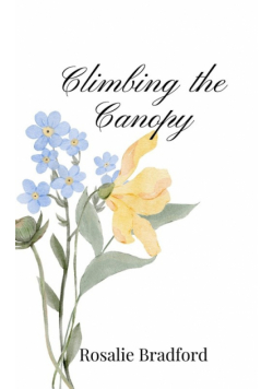 Climbing the Canopy