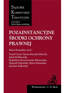 Pozainstancyjne środki ochrony prawnej
