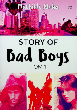 Story of Bad Boys Tom I