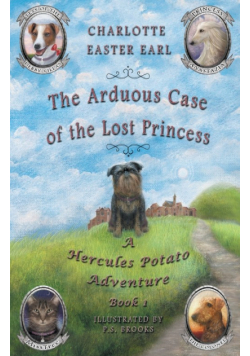 The Arduous Case of the Lost Princess