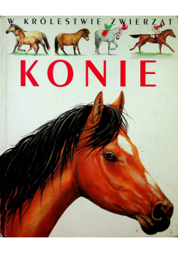 W królestwie zwierząt KONIE