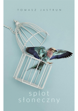 Splot słoneczny