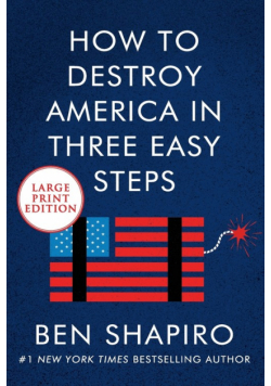 How to Destroy America in Three Easy Steps LP