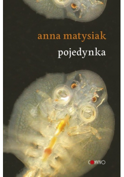 Pojedynka