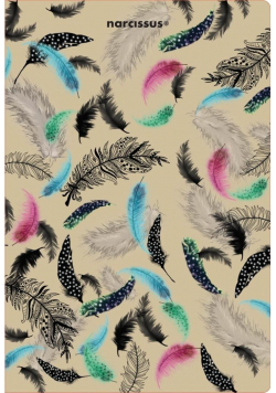 Teczka A4 Feathers