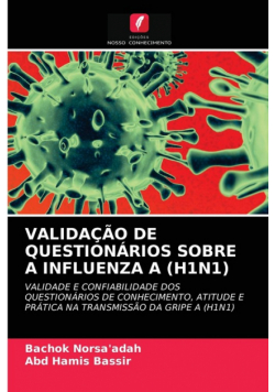 Validação De Questionários Sobre A Influenza A (H1N1)