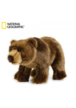 Niedźwiedź Grizzly