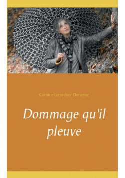 Dommage qu'il pleuve