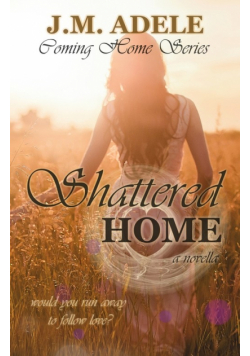 Shattered Home