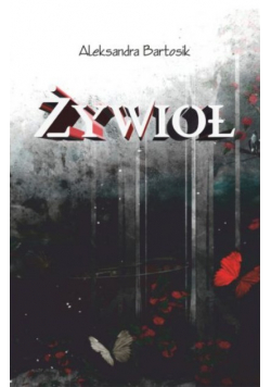 Żywioł