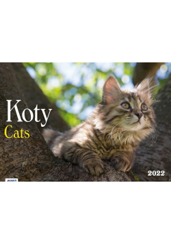 Kalendarz 2022 KA-1 Koty AVANTI
