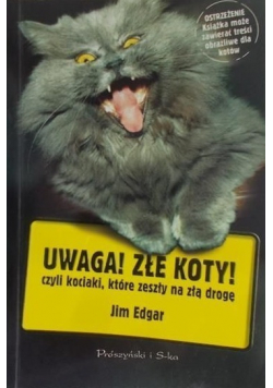 Uwaga Złe koty czyli kociaki które zeszły na złą drogę wydanie kieszonkowe