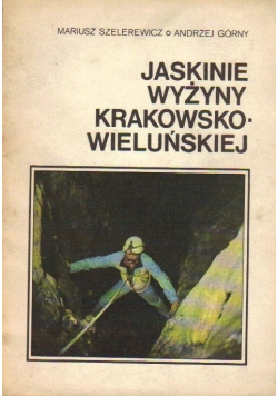 Jaskinie wyżyny krakowsko  wieluńskiej