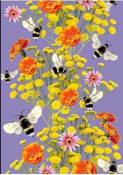 Notes Narcissus Gee Bzzz B5 gładki