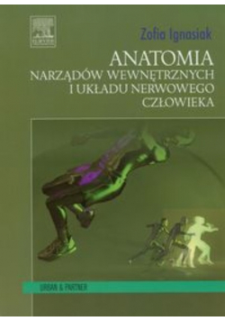 Anatomia narządów wewnętrznych i układu nerwowego człowieka