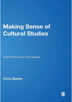 Making Sense of Cultural Studies