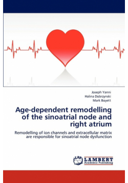 Age-Dependent Remodelling of the Sinoatrial Node and Right Atrium