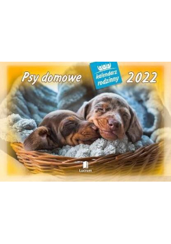 Kalendarz 2022 Rodzinny Psy domowe WL8