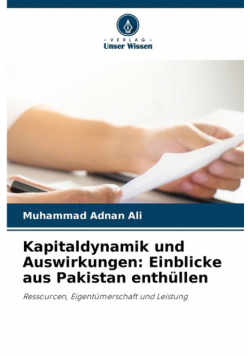 Kapitaldynamik und Auswirkungen