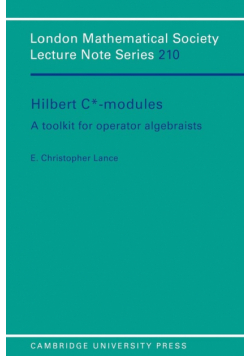 Hilbert C*-Modules