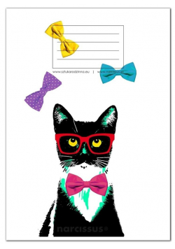 Zeszyt A5/60K kratka PP Fun Cat (4szt)