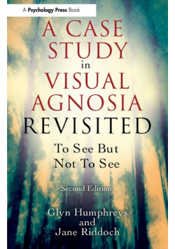 A Case Study in Visual Agnosia Revisited