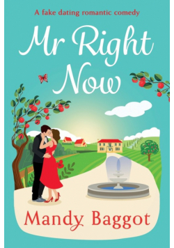 Mr Right Now