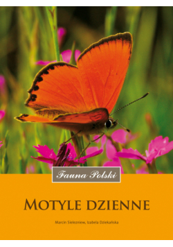 Motyle dzienne