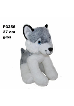 Pies husky z głosem 24cm
