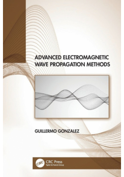 Advanced Electromagnetic Wave Propagation Methods