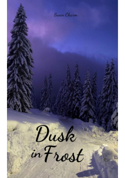 Dusk in Frost