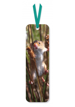 Zakładka do książki Harvest Mouse (opakowanie 2 sztuki)