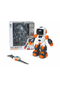 Robot na radio z funkcją nagrywania