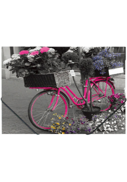 Teczka na gumkę A4 z nadrukiem Bike