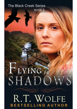 Flying in Shadows (The Black Creek Series, Book 2)