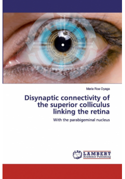 Disynaptic connectivity of the superior colliculus linking the retina