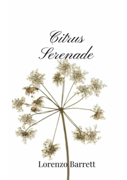 Citrus Serenade