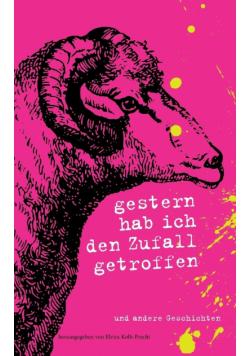 Gestern hab ich den Zufall getroffen