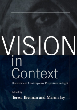 Vision in Context