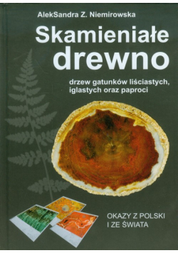 Skamieniałe drewno