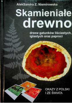 Skamieniałe drewno drzew gatunków liściastych