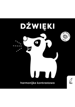Dźwięki