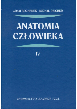 Anatomia człowieka t.4