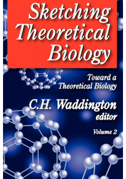 Sketching Theoretical Biology
