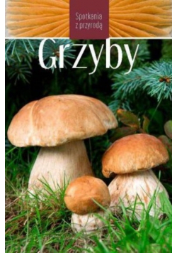 Spotkania z przyrodą Grzyby