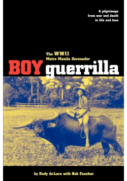 Boy Guerrilla